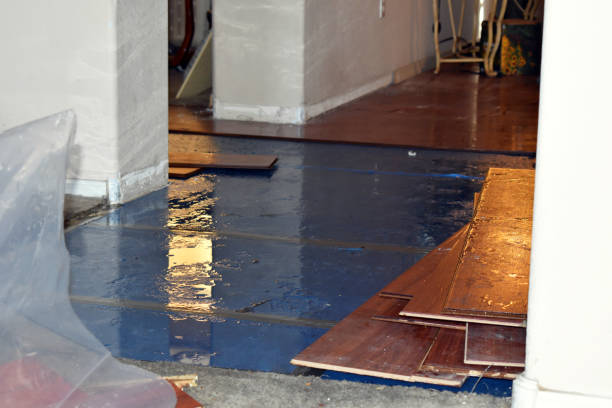 Professional Sewage Cleanup technician working in Lambertville, NJ